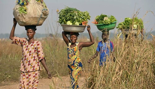 Smallholder farmers taking their produce to market.
